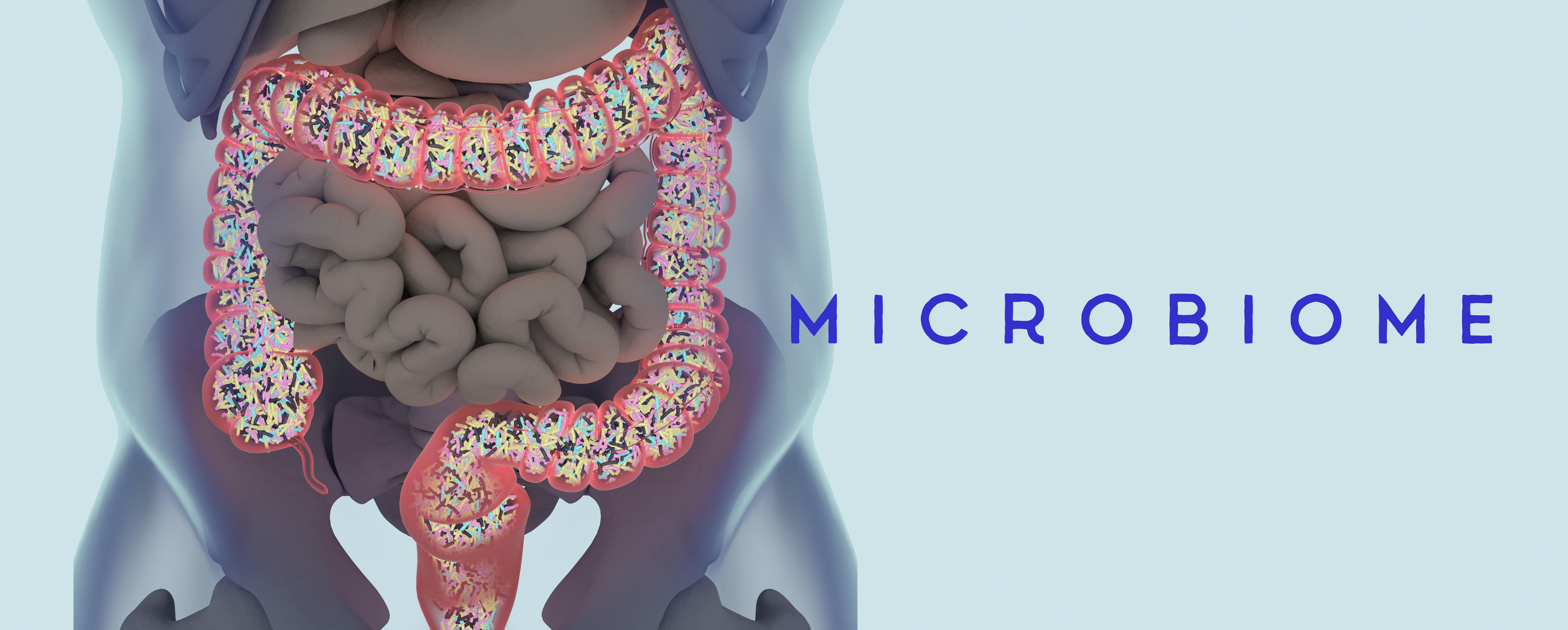 Gut microbiome and Autism