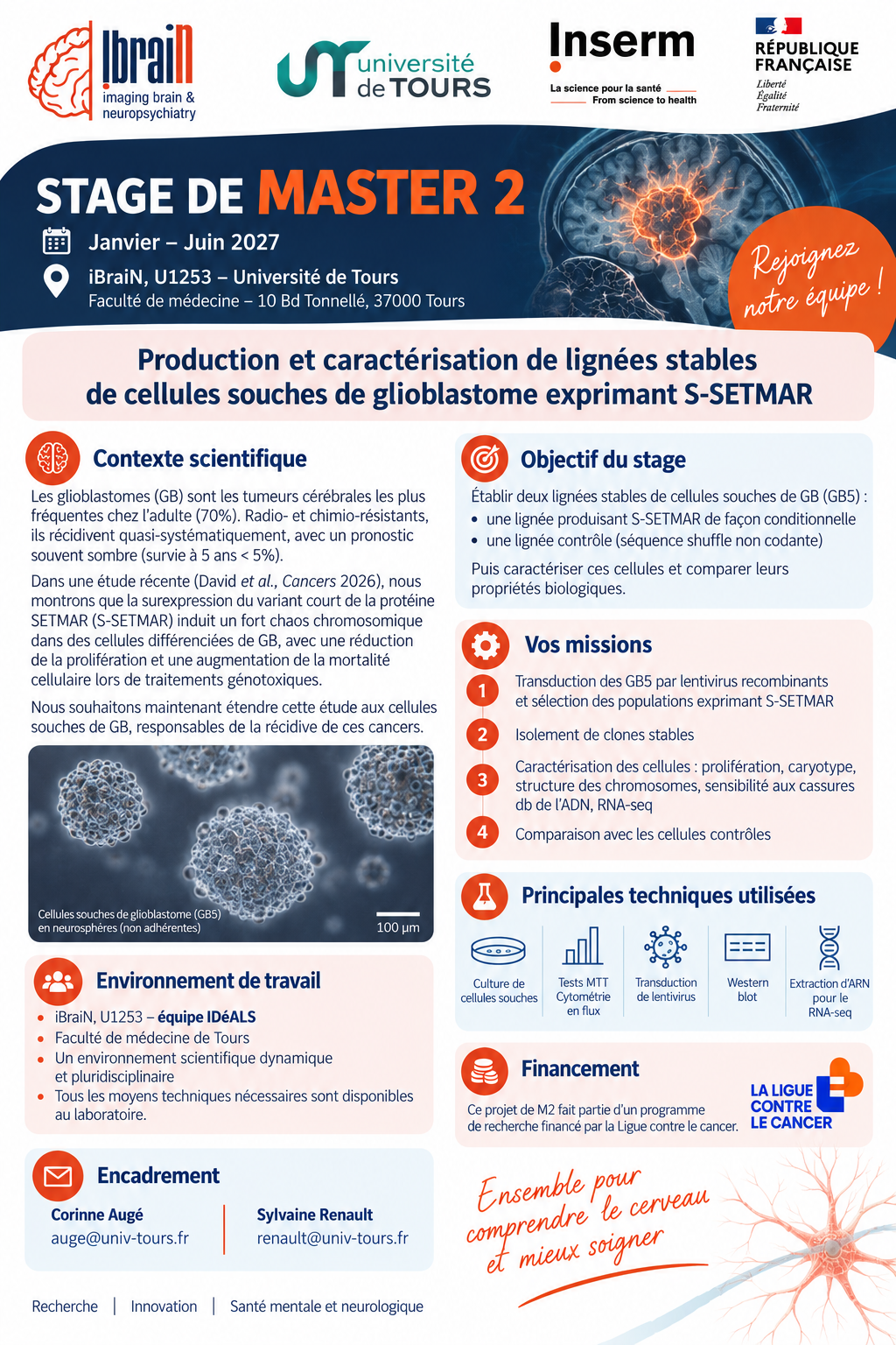 Production et caractérisation de lignées stables de cellules souches de glioblastome exprimant S-SETMAR