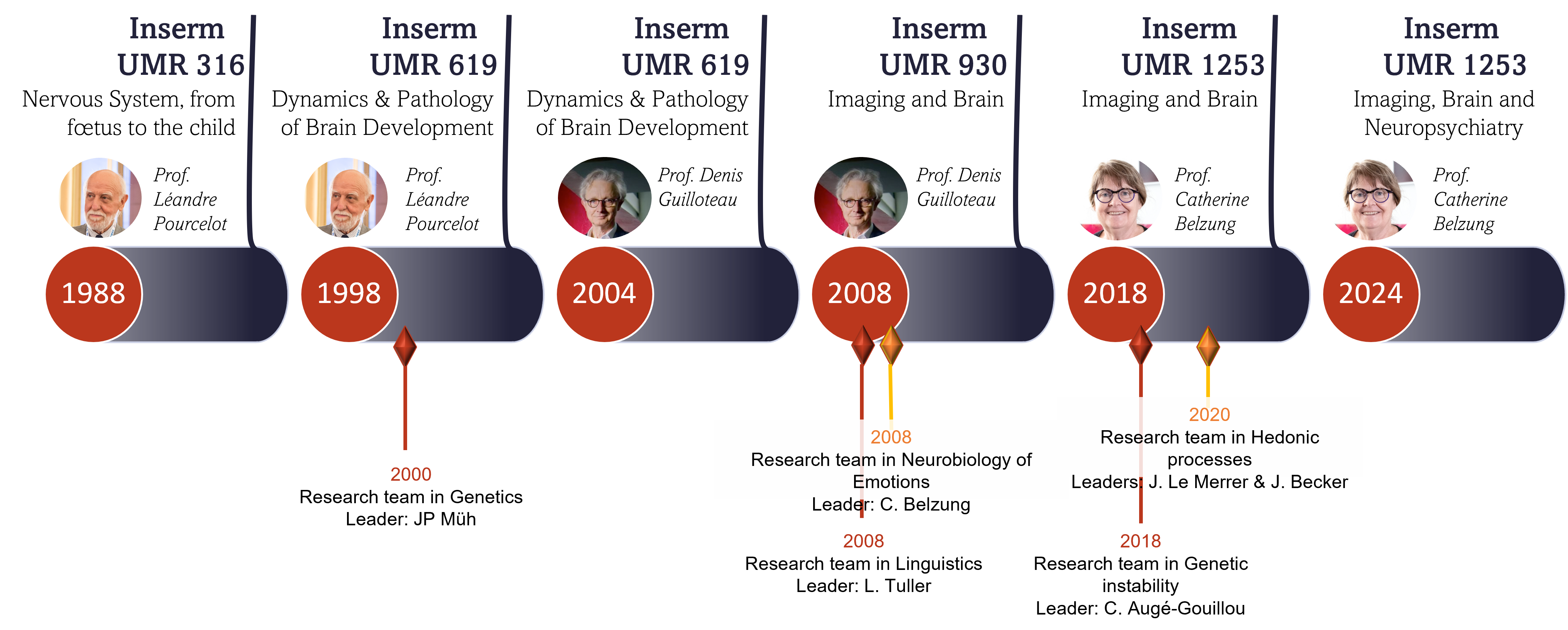 Frise Chronologique iBraiN