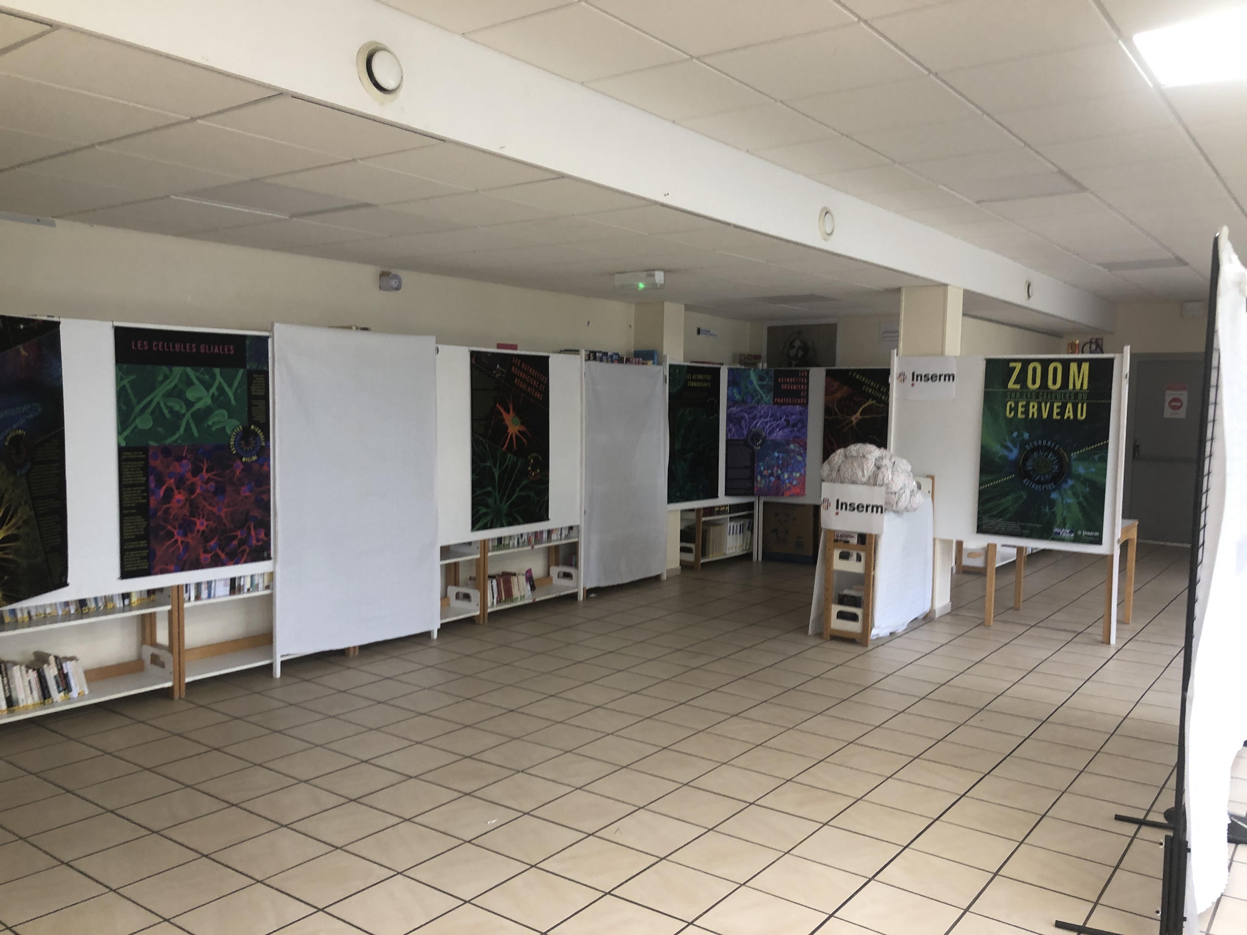 Antenne Inserm Jeunes