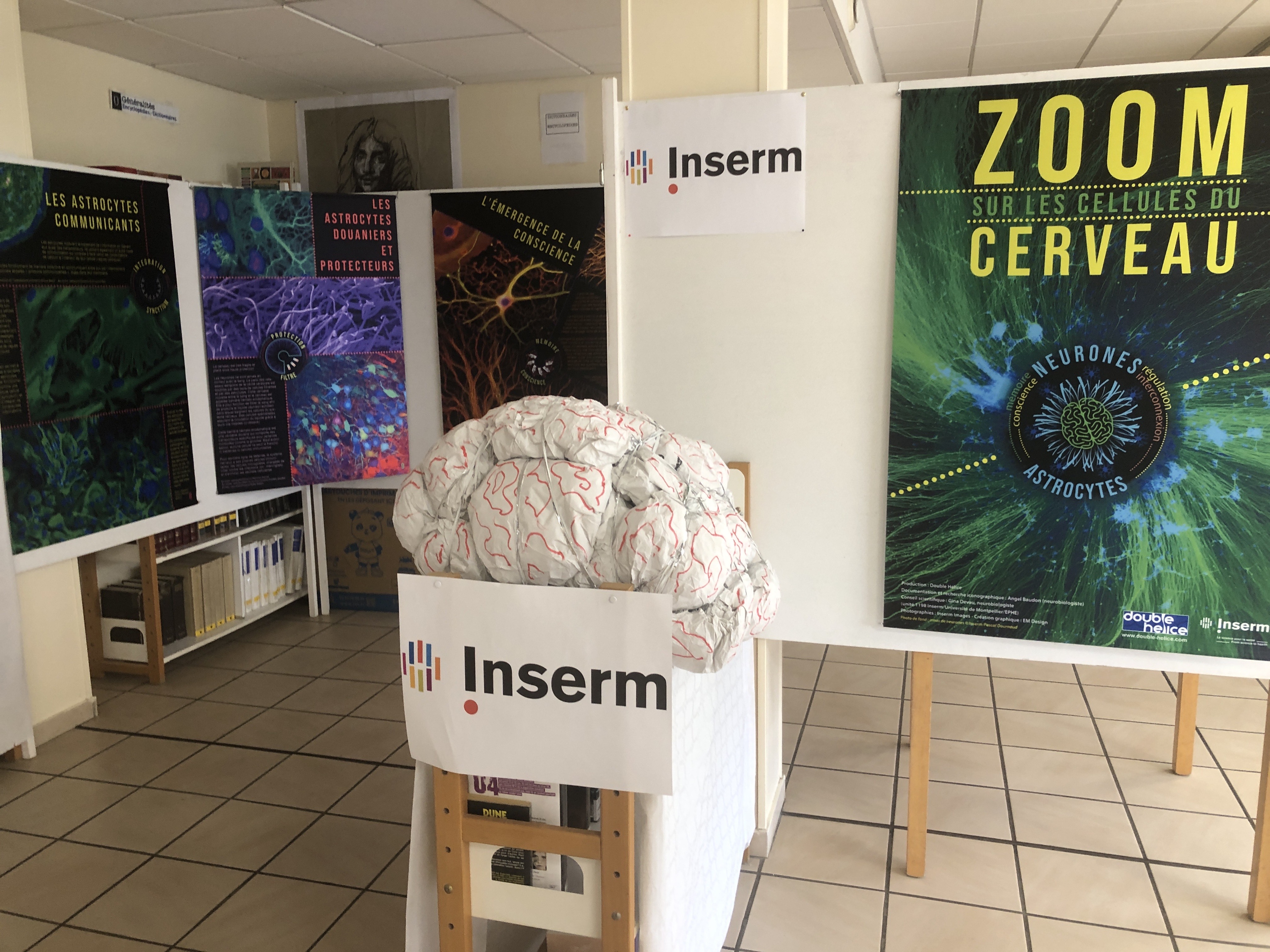 Antenne Inserm Jeunes