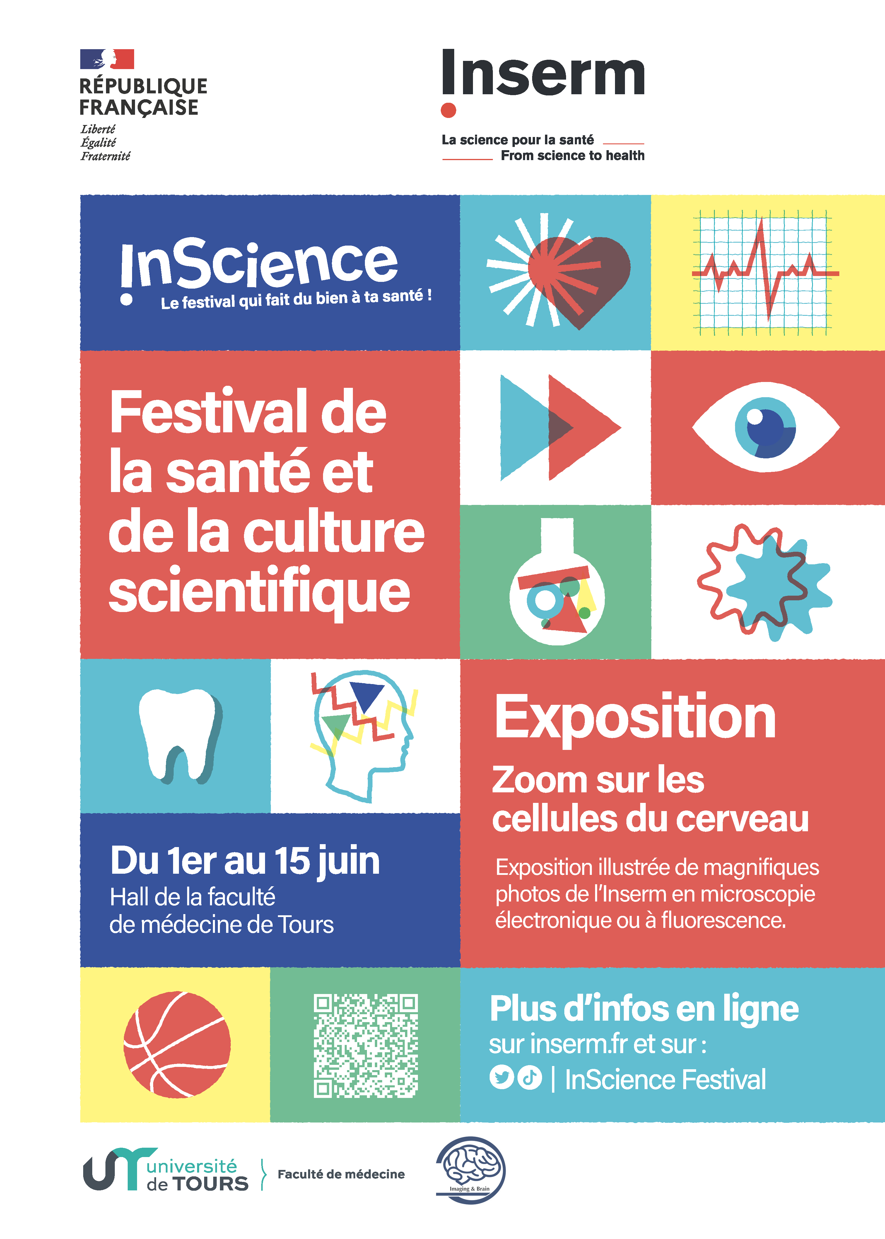 Cellules du cerveau