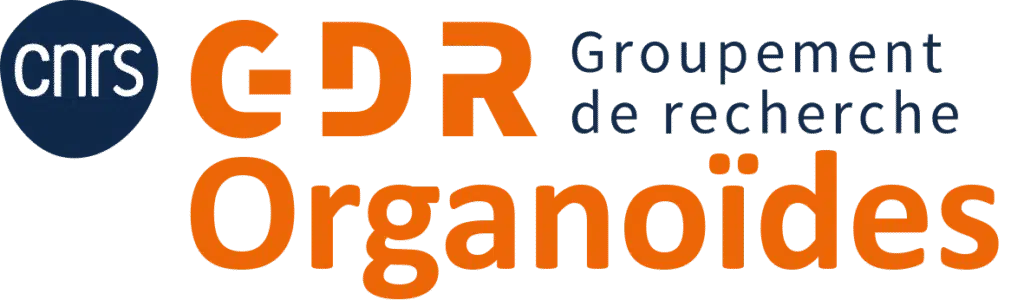GDR Organoïdes